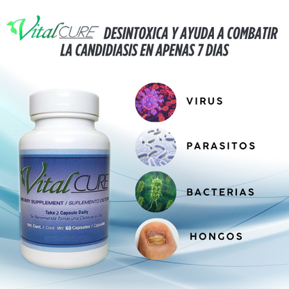 PACK 3X1 VITAL CURE